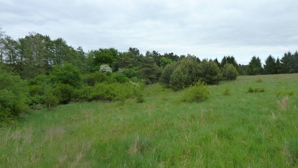 Bungalow Am Kuestrinsee Bei لوشن المظهر الخارجي الصورة