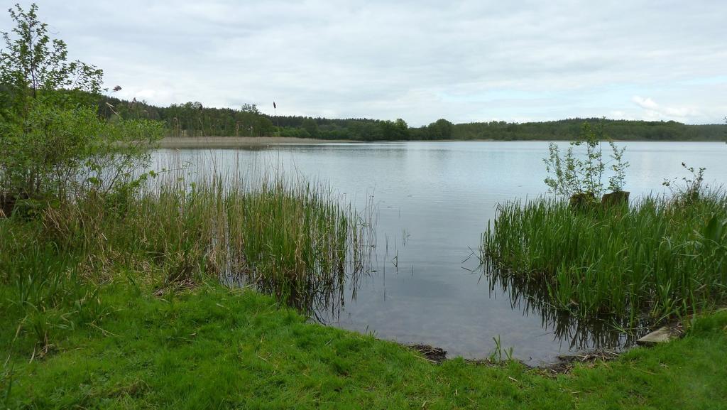 Bungalow Am Kuestrinsee Bei لوشن المظهر الخارجي الصورة