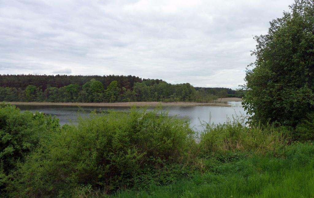 Bungalow Am Kuestrinsee Bei لوشن المظهر الخارجي الصورة